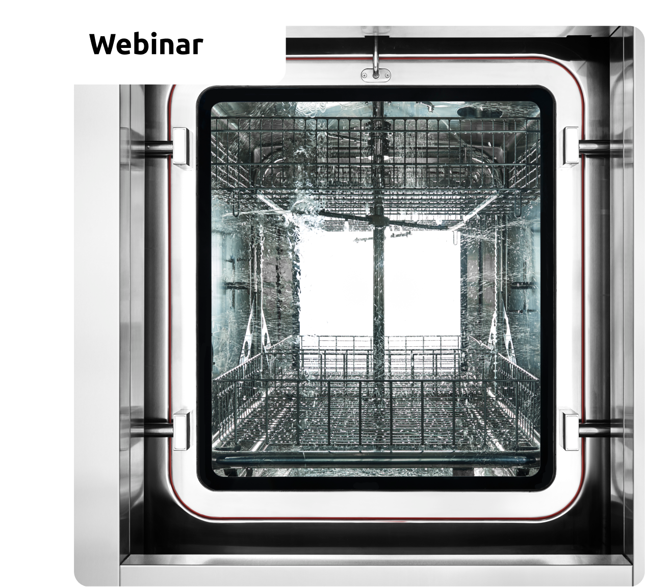 webinar-fedegari-washing
